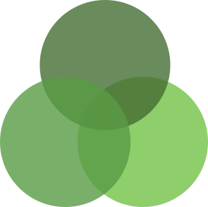 Full Stack Developer